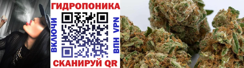 Купить  Боровичи  Бошки Шишки VHQ 